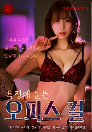 电视剧在线看 半糖关系 海报